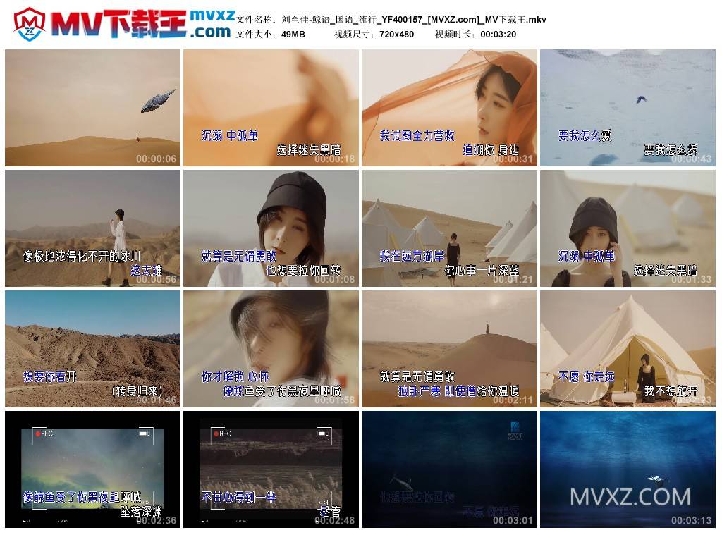 刘至佳-鲸语_国语_流行_YF400157